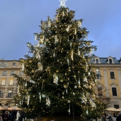 25_c7f2228a-d5be-4060-b5c8-ff782b4df59a