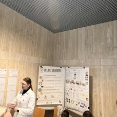 27_e452dbda-7c91-41ec-86eb-56cf52c54928