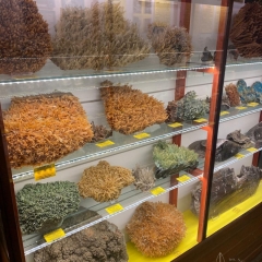 15_IMG-20251024-WA0016