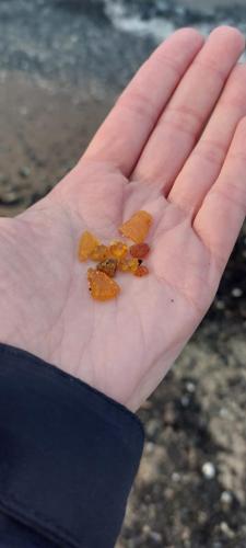IMG-20250509-WA0004