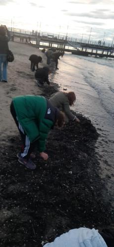 IMG-20250509-WA0012